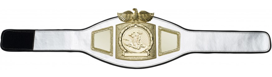PROEAGLE MMA CHAMPIONSHIP BELT - PROEAGLE/G/MMAG - AVAILABLE IN 6+ COLOURS